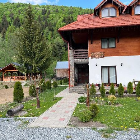 Pensiunea Pietrosul Rodnei Moisei Exteriör bild