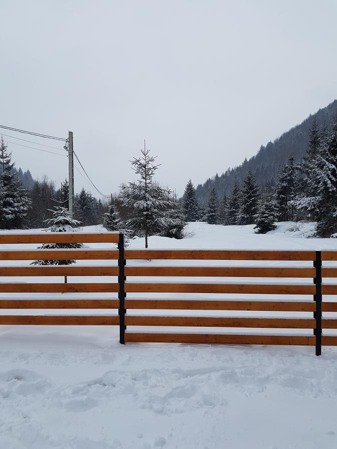 Pensiunea Pietrosul Rodnei Moisei Exteriör bild