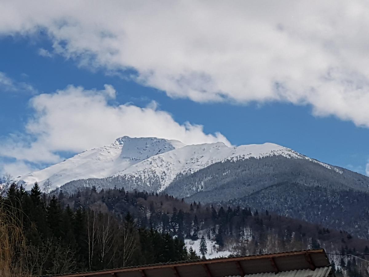 Pensiunea Pietrosul Rodnei Moisei Exteriör bild