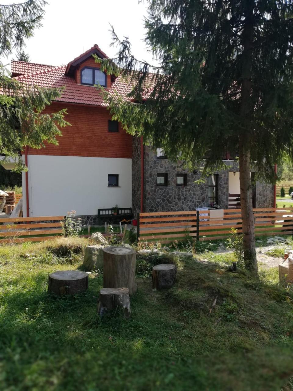 Pensiunea Pietrosul Rodnei Moisei Exteriör bild